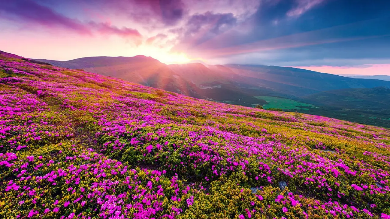 Valley of Flowers Trek Guide: Dates, Permits, Route & Travel Tip