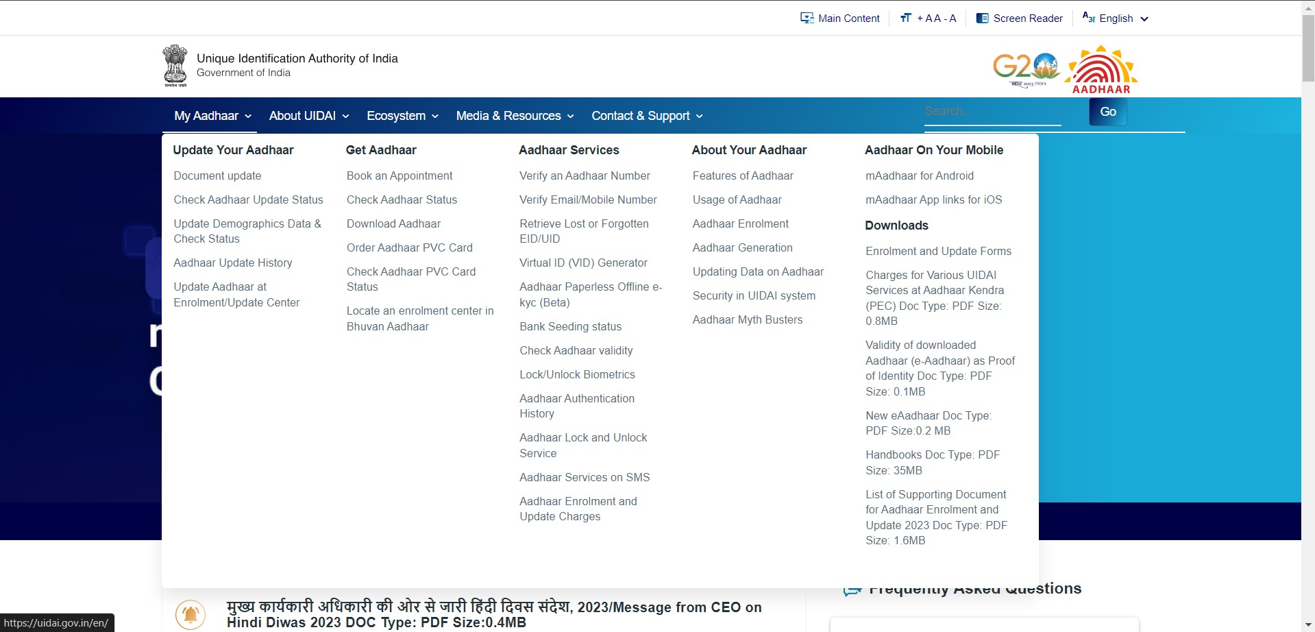 Blue Aadhar card